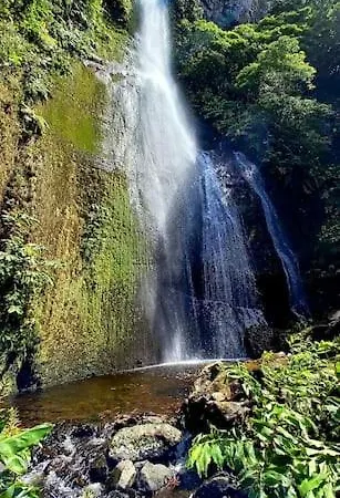 Monchique Islet View House T1 *