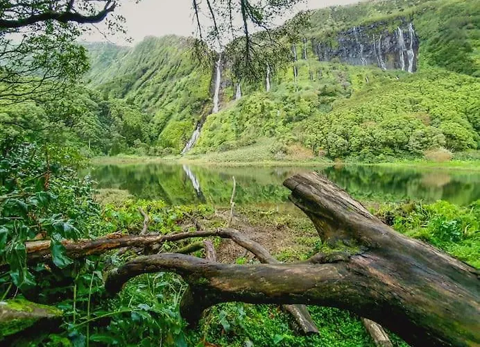 Monchique Islet View House T1 *