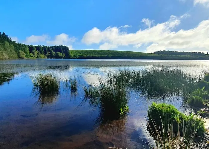 Casa de Férias Monchique Islet View House T1 Faja Grande