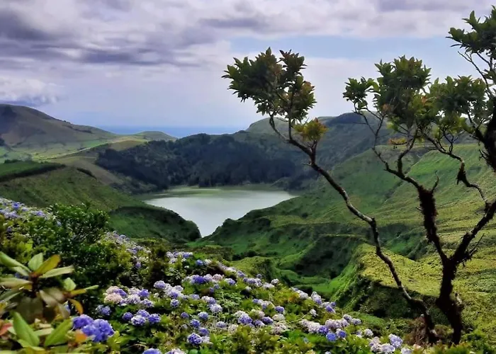 Сasa de vacaciones Monchique Islet View House T1 Faja Grande