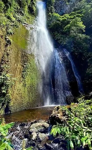 Monchique Islet View House T1 *